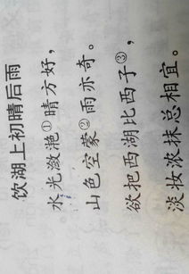 詠春,朝代,詩(shī)句,歷史