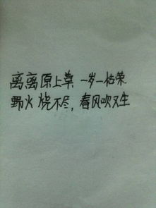 描寫小草頑強(qiáng)的詩(shī)句古詩(shī)