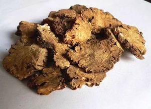 關(guān)于川芎的詩句