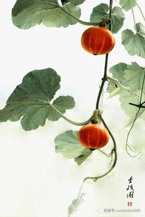 古詩,詩句,抒情