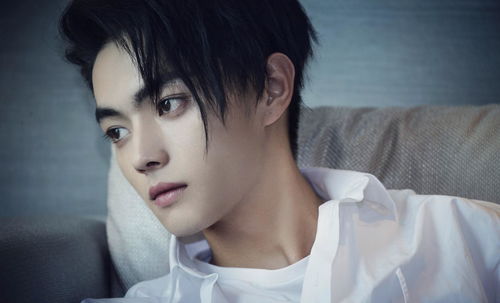 關(guān)于許凱的詩句