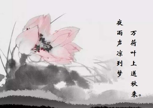 有關(guān)于夏日的詩(shī)句