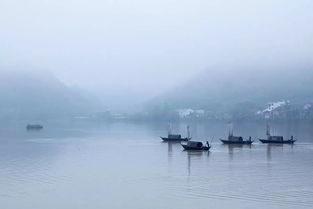 贊美老師的詩句古詩,贊美祖國大好河山的詩句古詩,贊美臘梅的詩句