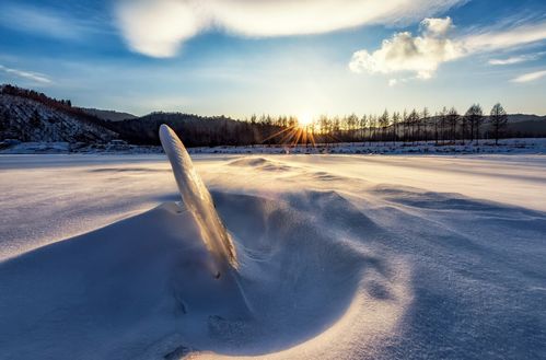 古詩詞,北風(fēng),詩句,描寫