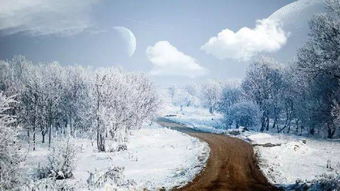 雪景,古詩,詩句,描寫