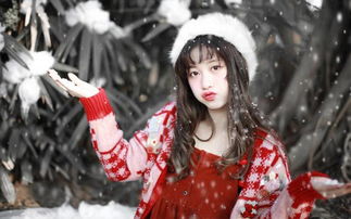 關于雪中美人的詩句