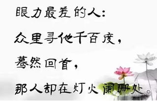 有關(guān)于我很棒的詩句