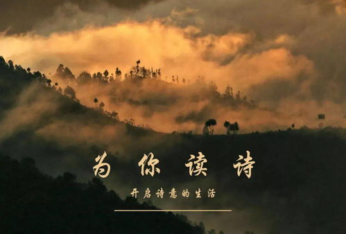 詩句,美麗,時間