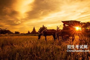 描寫夕陽的詩句古詩有聲讀物