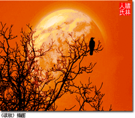 關(guān)于寒鴉的詩(shī)句