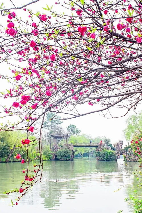 長(zhǎng)堤,詩(shī)句