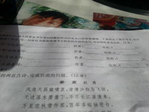 反映重陽節(jié)和清明節(jié)的古詩句