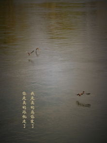 關于景色加詩句的