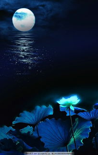 中秋想念愛人的詩句古詩,想念妻兒的詩句古詩,想念愛人的詩句古詩