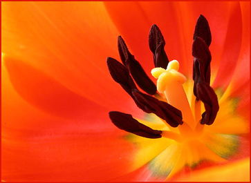 關于愛情清風的詩句