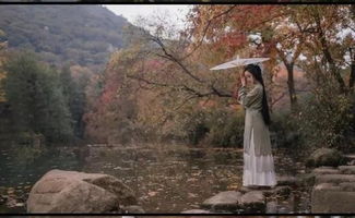 描寫(xiě)秋露的詩(shī)句古詩(shī)大全