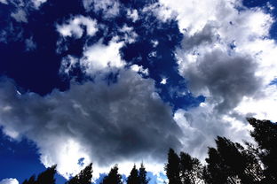 關于白云的詩句2