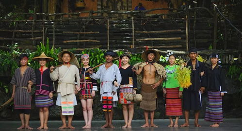 關(guān)于黎族服飾的詩(shī)句