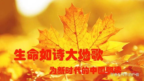 歌頌的生命的古詩句