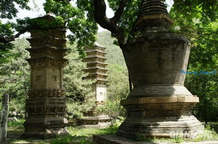 關于潭柘寺的詩句