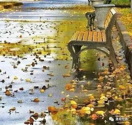 關(guān)于秋雨城市的詩句古詩