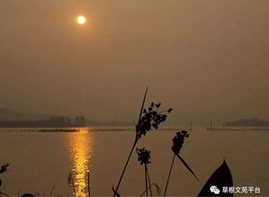 浪跡天涯,詩(shī)句