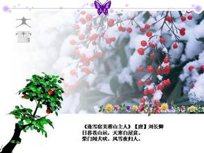 寫(xiě)幾句關(guān)于冬天的古詩(shī)句