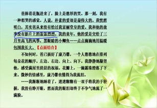 點面結(jié)合的一句古詩句