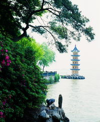 描寫亭臺(tái)樓閣的古詩名句,描寫亭臺(tái)樓閣的詩句古詩,描寫秋天亭臺(tái)樓閣的古詩