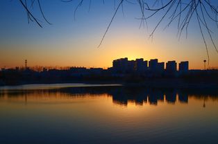 關于沙漠的的現代詩句