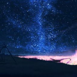 描寫星辰的詩(shī)句古詩(shī)詞,描寫星辰的詩(shī)句古詩(shī)小學(xué),描寫秋天的詩(shī)句古詩(shī)