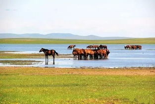 關于沿途風景的古詩句