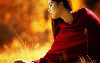 關于紫蝶的詩句