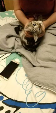 關(guān)于絕交歸還信物的詩(shī)句