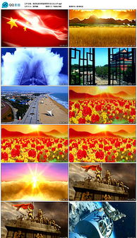 關(guān)于立志報郊祖國的詩句