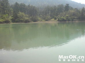 青山綠水,詩句,游玩