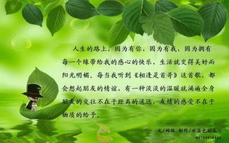 關(guān)于友誼的詩句有哪些,關(guān)于友誼的詩句和名言,關(guān)于友誼的詩句古詩