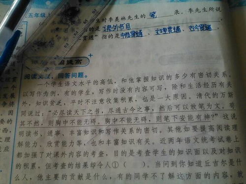 唐代大詩(shī)人杜甫寫(xiě)的關(guān)于讀書(shū)的詩(shī)句