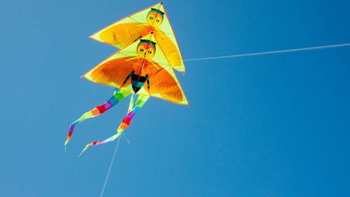 春天放飛風箏的詩句古詩