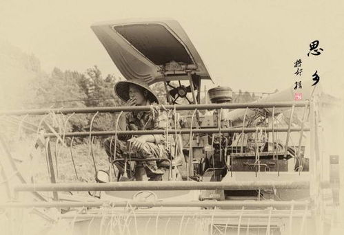 關(guān)于寫游子在外思念家鄉(xiāng)的詩句