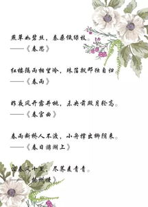 關(guān)于春天的詞句或詩句