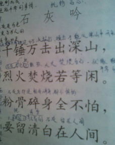 跟石灰吟這首古詩(shī)類似的詩(shī)句