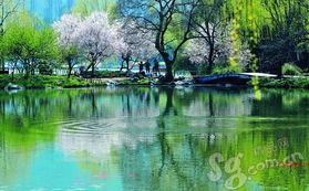 關(guān)于太湖茶葉的詩句