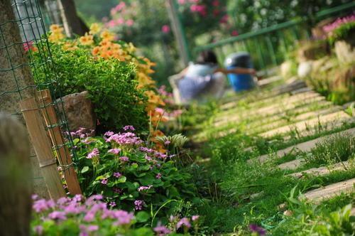 關(guān)于古詩句重疊詩句的導(dǎo)語