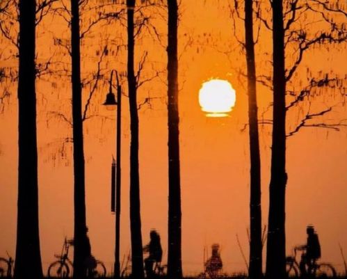 寫老當益壯的古詩句