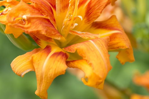 詩句,形容,秋天,天氣