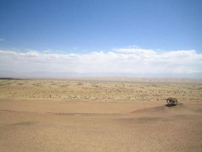 關(guān)于決絕告別的詩句