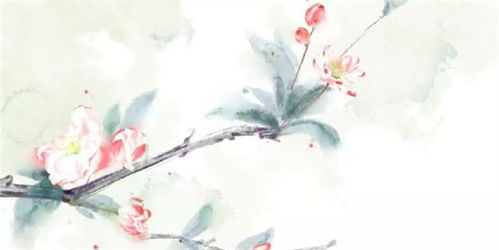 很漂亮,古詩,詩句