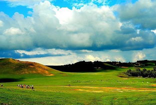 描寫木蘭圍場(chǎng)的古詩句