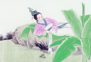 關(guān)于手足殘殺的古詩(shī)句